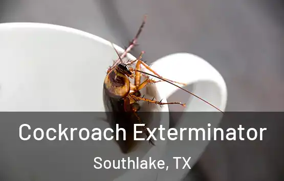  Cockroach Exterminator Southlake, TX