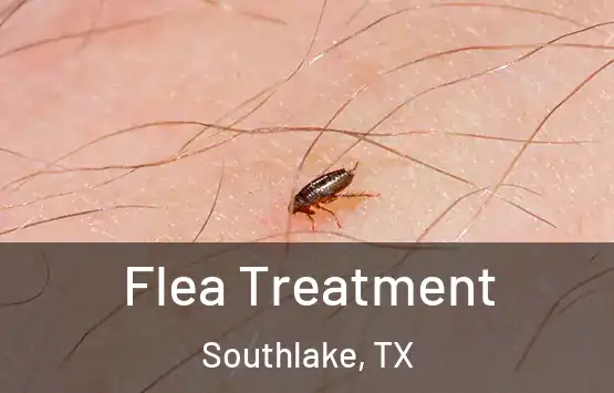  Flea Treatment Southlake, TX