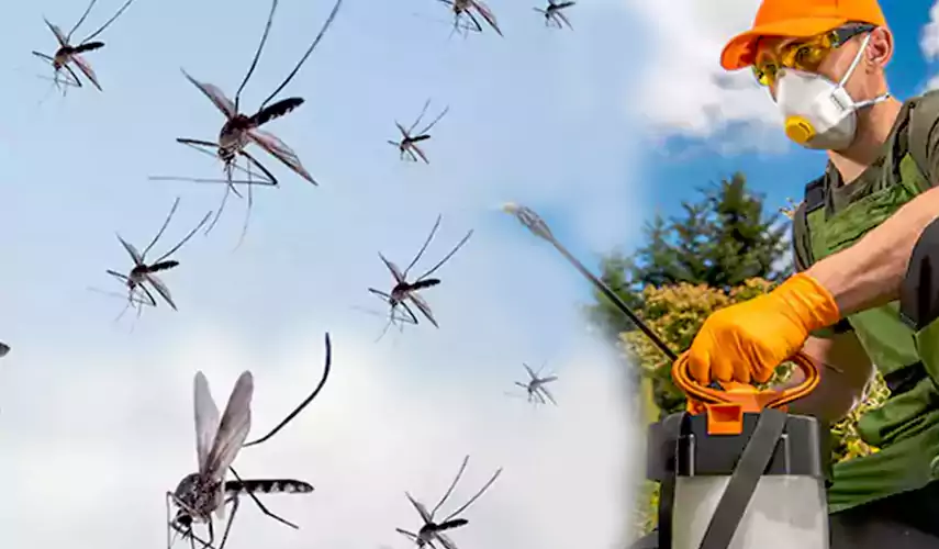 Mosquito Pest Control in Southlake, TX