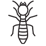 Termites Pest Control Southlake, Texas