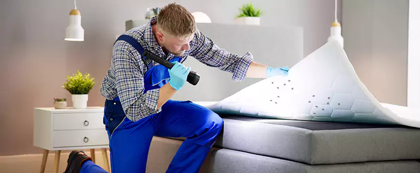 bed-bug-treatment in Southlake, TX