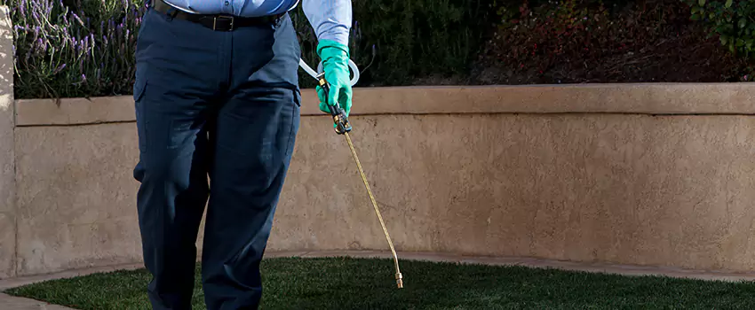 Emergency Pest Extermination for Children and Pets Southlake, TX