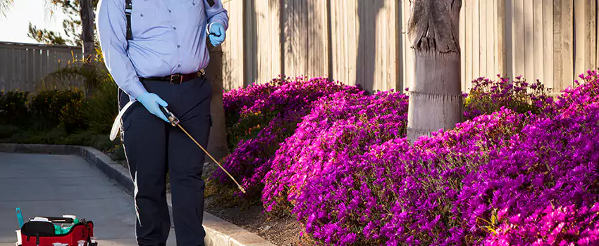 Commercial Mosquito Control Services in Southlake, TX