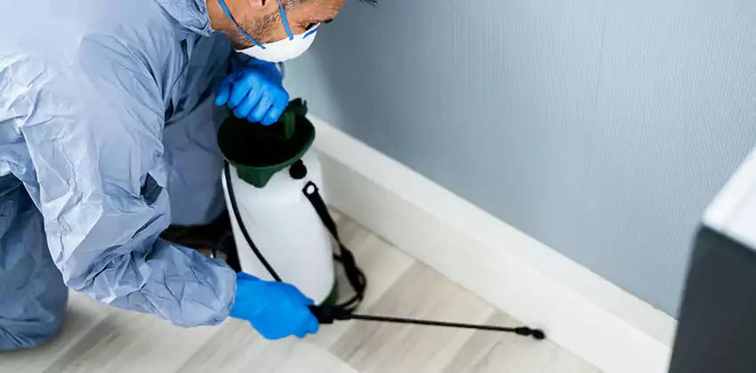 commercial-pest-exterminator in Southlake, TX
