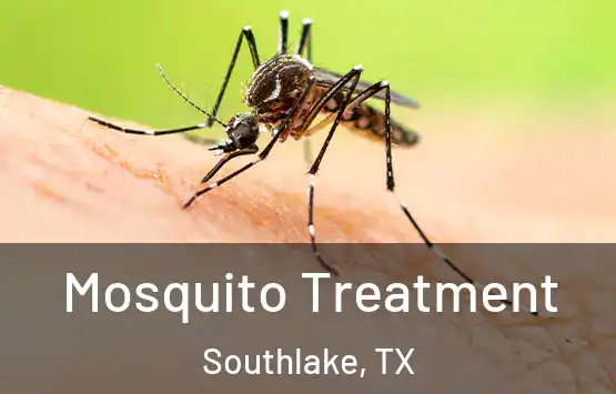  Mosquito Treatment Southlake, TX