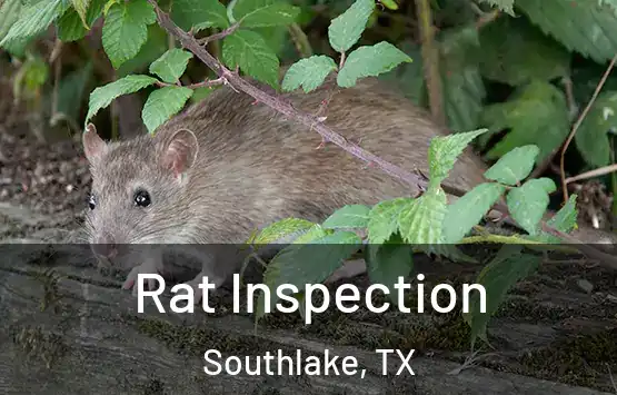  Rat Inspection Southlake, TX