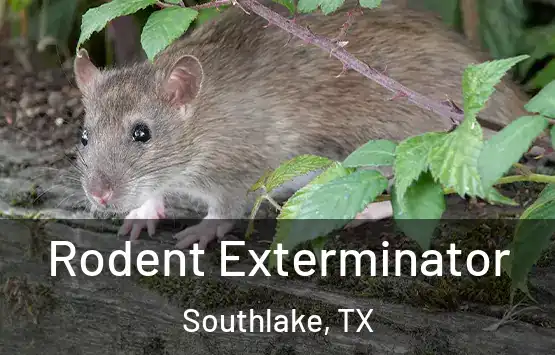  Rodent Exterminator Southlake, TX
