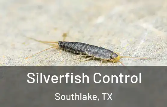  Silverfish Control Southlake, TX