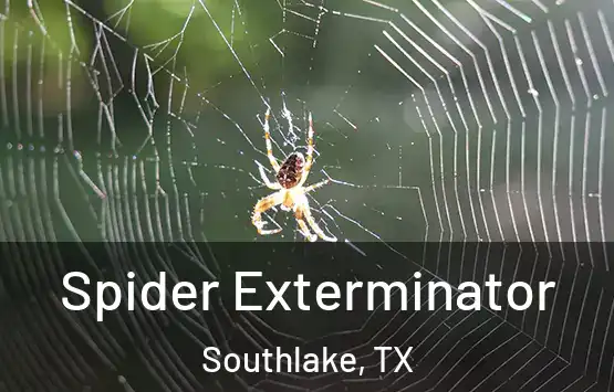 Spider Exterminator Southlake, TX