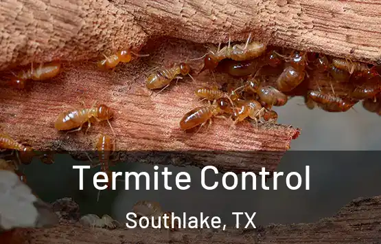  Termite Control Southlake, TX