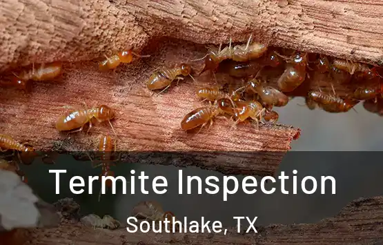  Termite Inspection Southlake, TX