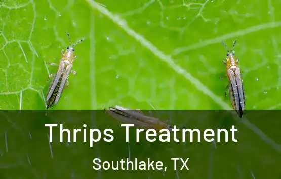  Thrips Treatment Southlake, TX