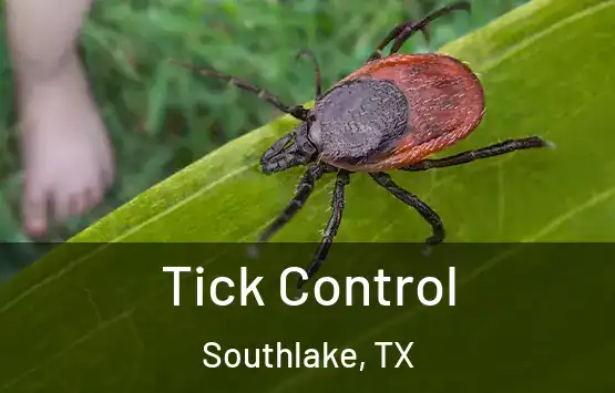  Tick Control Southlake, TX
