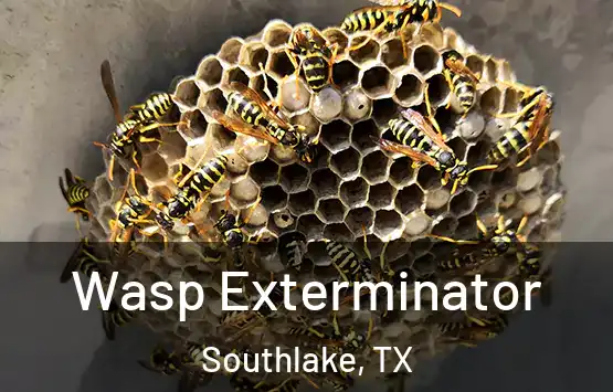  Wasp Exterminator Southlake, TX