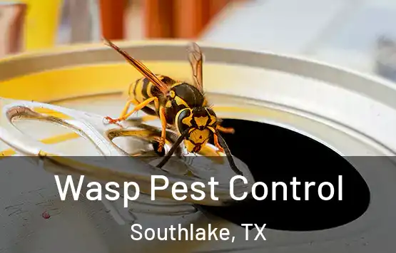  Wasp Pest Control Southlake, TX